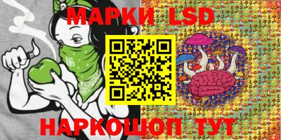 PSILOCYBIN Бугуруслан